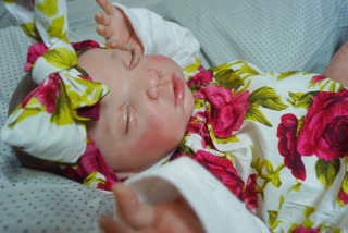 Alice, Reborn Doll, Baby, Bobas, 51 cm