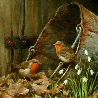Bird DIY 5D Diamond Painting Vŕta