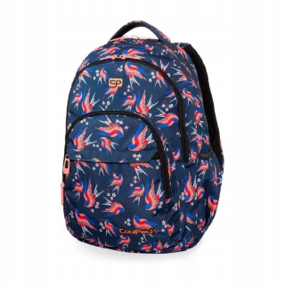 Coolpack B03012 BASIC PLUS COLIBRI 27L BACK
