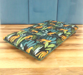 Terapeutický skateboard