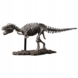 Dinosaurus kostra fosílií Rôzne kosti