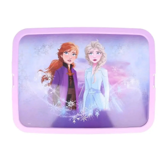 Disney Frozen 2 - kontajner / organizátor pre hračky