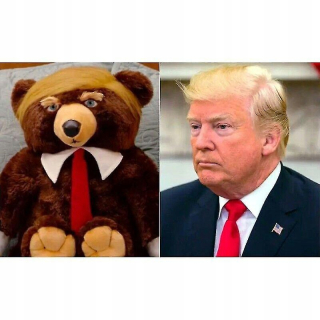 Donald Trump medveď plyšové hračky USA prezident