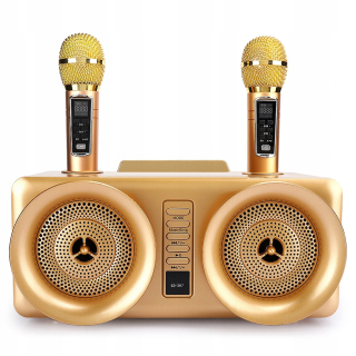 Zvuk zvuku rodiny karaoke