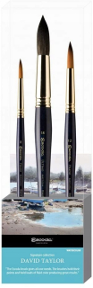 Escoda kefy pre akvarely David Taylor 3 PCS.