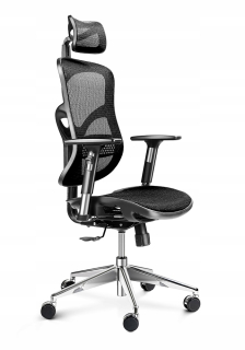 Ergonomické Diablo V-Basic Net Skreslenie