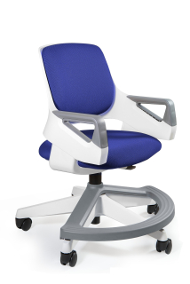 Ergonomické detské kreslo jedinečné Rookee Royal