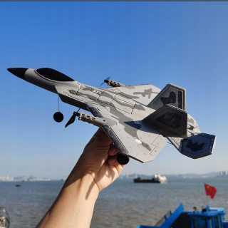 F22 Pilot Jet 2.4g Hobby RC Jet