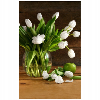 Sneh -white tkaniny 95x150 tulipánov