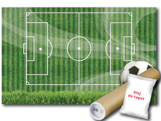 Nástenná maľba, non -Woven Football Field Stadium 208x146