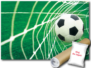 Flizelina Wall Mural Ball gól gol 416x290