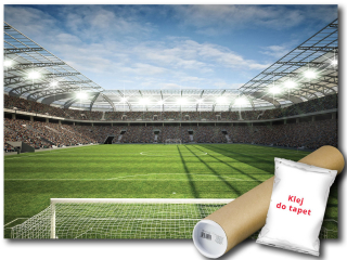 Nástenná maľba, non -tkanina Ball Stadium Pitch 254x184