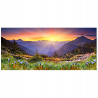 Nástenná maľba s lúkou v horách 536x240