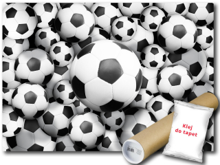 Nástenná maľba vinylového futbalového futbalového športu 368x254