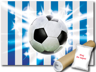 Nástenná maľba vinylového futbalového futbalového športu 416x254
