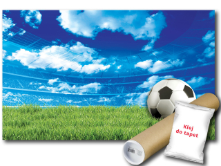 Nástenná maľba vinylového futbalu 312x219