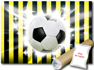 Wall nástenná maľba vinylového futbalového zápasu 312x219