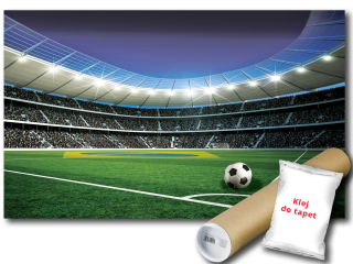 Nástenná maľba vinylového futbalového štadióna Futbol 312x219