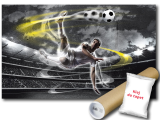 Wall nástenná maľba vinylového futbalového futbalového zápasu 368x254