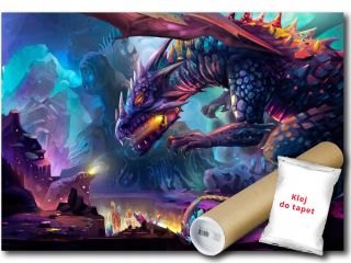 Nástenná maľba Vinyl Dragon Fantasy Gaming 416x254