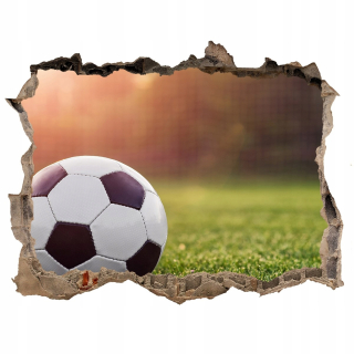 Nástenná maľba pre 3D futbal 120x81 futbal