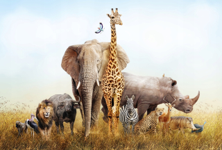 Nástenné maľby džungle Safari 368x248