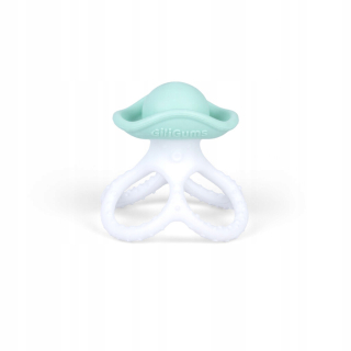 Gili Gums Teether