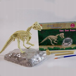 Hrubá hlava Archeology Biology Biology Play