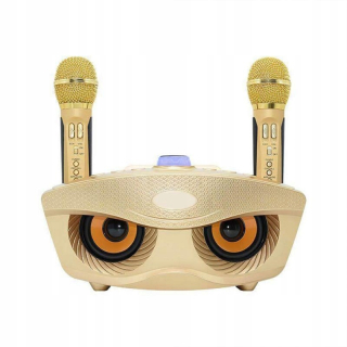 Karaoke SD306 20W Wireless