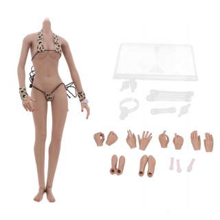 Ženské bezšvové telo 1/6 stupnice figuríny bábiky v