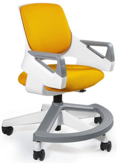 Stolička pre dieťa nastaviteľné ergonomické Rookee