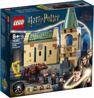 LEGO Harry Potter 76387 Stretnutie s plechovkou
