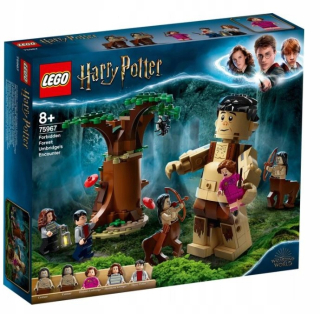 LEGO zakázané stretnutie lesov 75967 Harry Potter