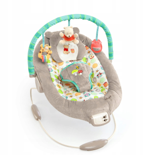 Bright Start Deckchair Winnie the Pooh Gray