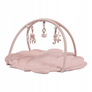 Malý holandský vzdelávací rohož Ocean Roses LD4845