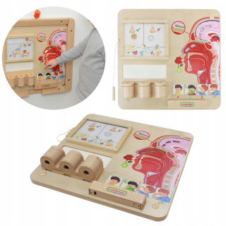 Masterkidz Education of the Senses Wojewood Drevená plaketa