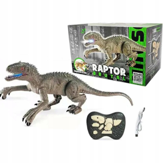 ND17_ZB-139045 Dinosaur 555754 Adar