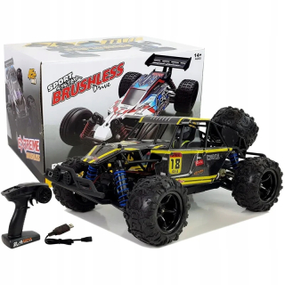 ND24_8419 Remoped Buggy Car