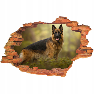 Nálepky na stenu 3D psie diery Zvieratá Výhľad
