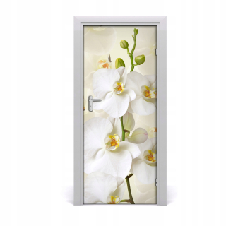 Nálepka nástenná nástenná maľba biela orchidea