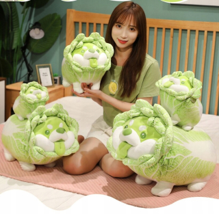 Nové 22-55 cm kawaii zeleninové psie plyšové hračky kapusty