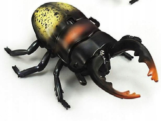 Nový podivný pilotný simulácia chrobáka Beetle