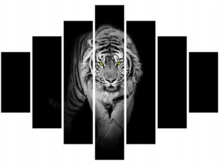 Obrázok Tiger v tme
