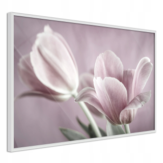 Maľovanie obrazu- 60x40 stroj