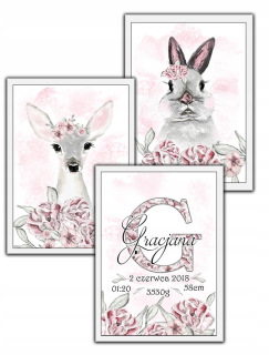 Obrazy s rámami METRYCZKA SARENKA RABBIT A4
