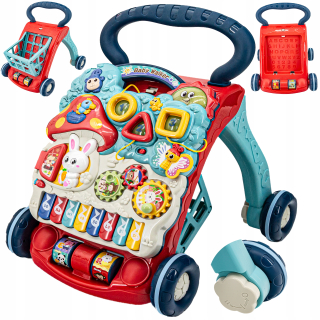 Pusher Walker Interactive Educational Table 4in1