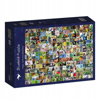 Puzzle 4000 Najkrajšie vtáky na svete