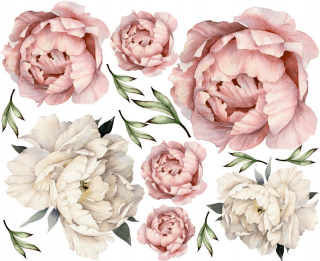 Nálepka pivoniek pre nástenné pivonky xl