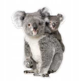 Mäkká plyšová nálepka na stenu koala 105 cm