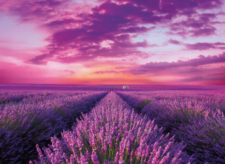 Puzzle 1000 Clementoni 39606 Lavender West Field